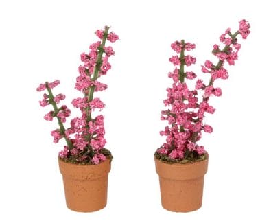 Oc28301 - Two Flowerpots