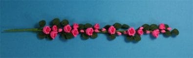 Tc0904 - Rosa Kletterpflanze