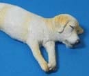 Tc1856 - Schlafender Hund 