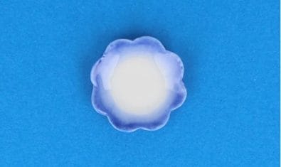 Cw1504 - Blau dekorierter Teller 