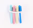 Tc0501 - Brosses à dents 
