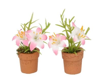 Oc28303 - Two Flowerpots