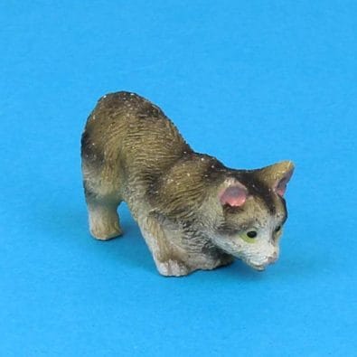 Tc2332 - Gato cazando