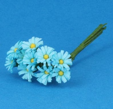 Tc0934 - Marguerites bleues