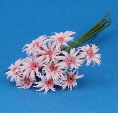 Tc1017 - Pink flowers