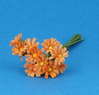 Tc1019 - Orange daisies