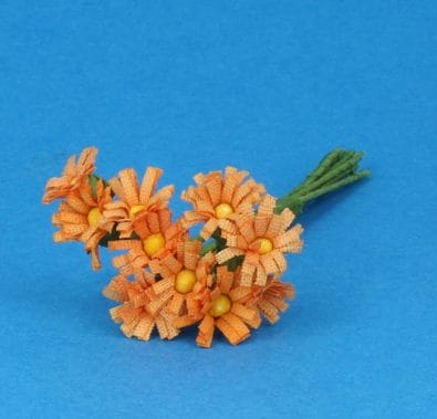 Tc1019 - Orange margeriten