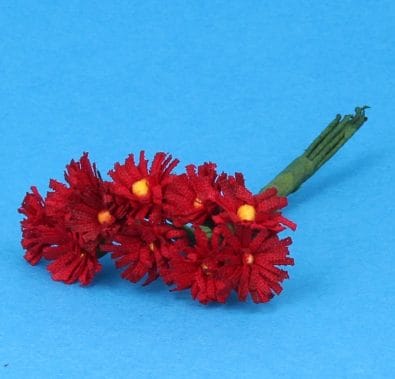 Tc1024 - Red daisies