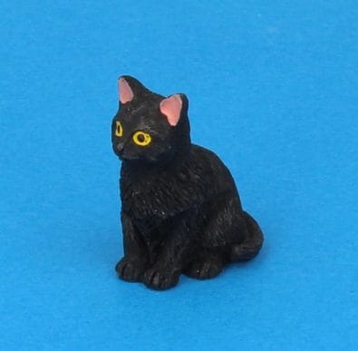 Tc2379 - Schwarze Katze