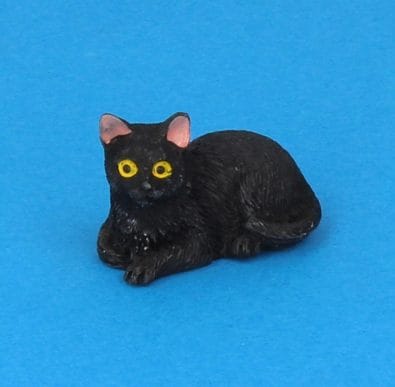 Tc2380 - Gato negro