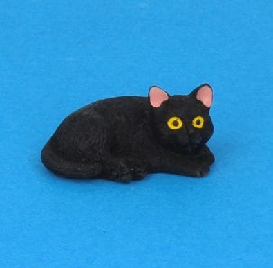 Tc2381 - Gato negro