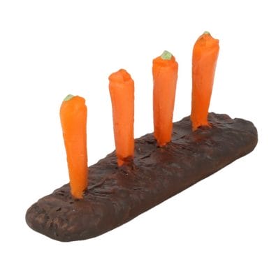 Tc1260 - Huerto de zanahorias