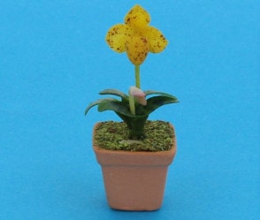 Sm8408 - Maceta con orquídea