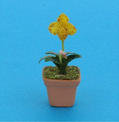 Sm8102 - Maceta con orquídea