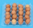 Sm4851 - Carton œufs 