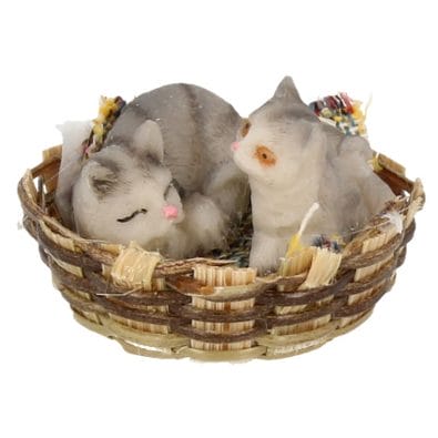 Tc0923 - Basket with cats