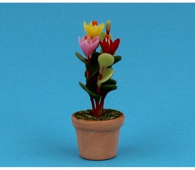 Sm8172 - Vaso con fiori