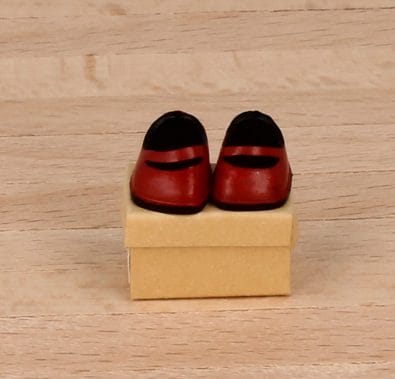 Tc1877 - Rote Schuhe