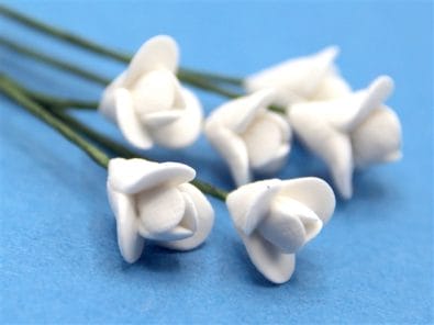 Tc0062 - Fleurs blanches