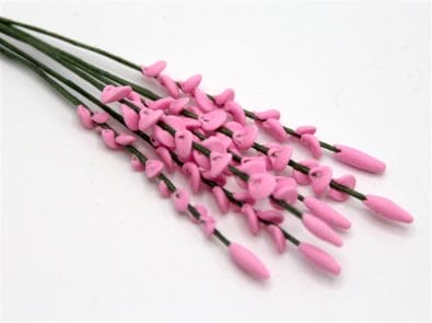 Tc0066 - Pink roses