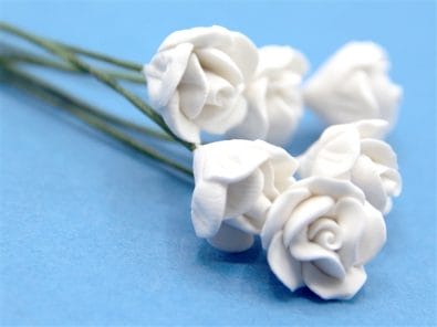 Tc0139 - White flowers