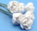 Tc0139 - Flores blancas