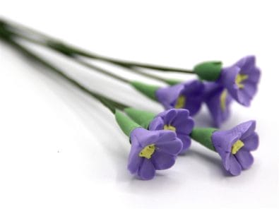 Tc0141 - Flores lilas