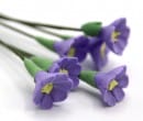 Tc0141 - Flores lilas