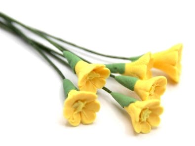 Tc0142 - Yellow flowers
