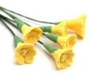  Six fleurs jaunes
