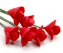Tc0144 - Flores rojas