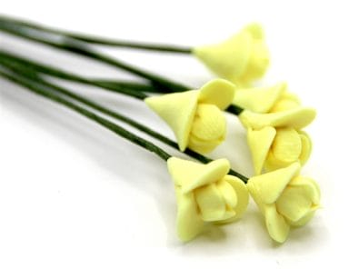 Tc0148 - Yellow flowers