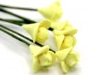 Tc0148 - Flores amarillas