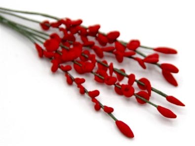 Tc0226 - Fleurs rouges 