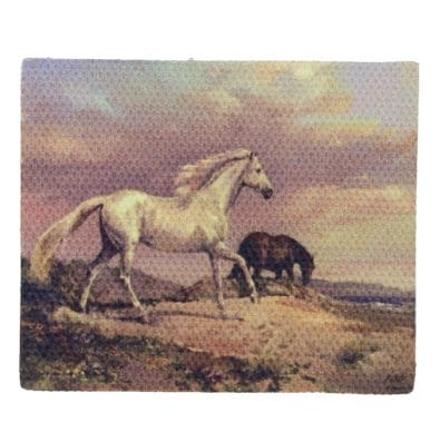 Tc0819 - Horse Canvas