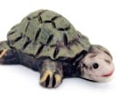 Tc2360 - Schildkröte
