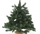 Nv0113 - Weihnachtsbaum 