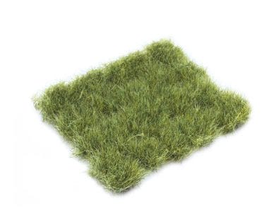 Dr30428 - Green jungle grass