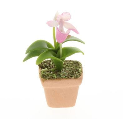 Sm8103 - Maceta con orquídea