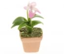 Sm8103 - Maceta con orquídea