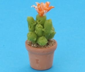 Sm8013 - Cactus