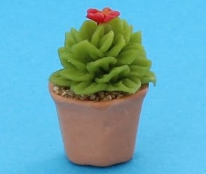 Sm8017 - Cactus