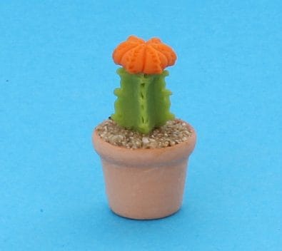Sm8022 - Cactus