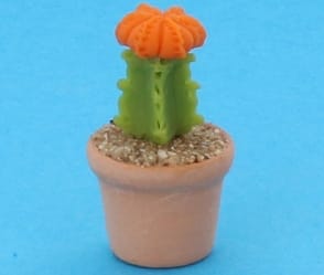 Sm8022 - Cactus