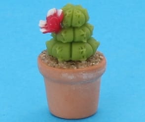 Sm8023 - Cactus