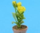 Sm8235 - Pot de fleurs à fleurs jaunes 