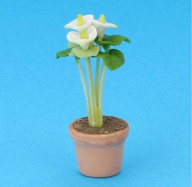 Sm8142 - Vaso di fiori