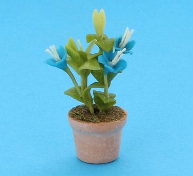 Sm8188 - Flower pot with blue carnations