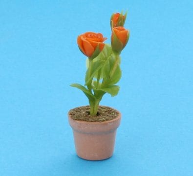 Sm8234 - Topf mit orangefarbenen Blumen
