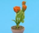 Sm8234 - Pot de fleurs avec des fleurs orange 